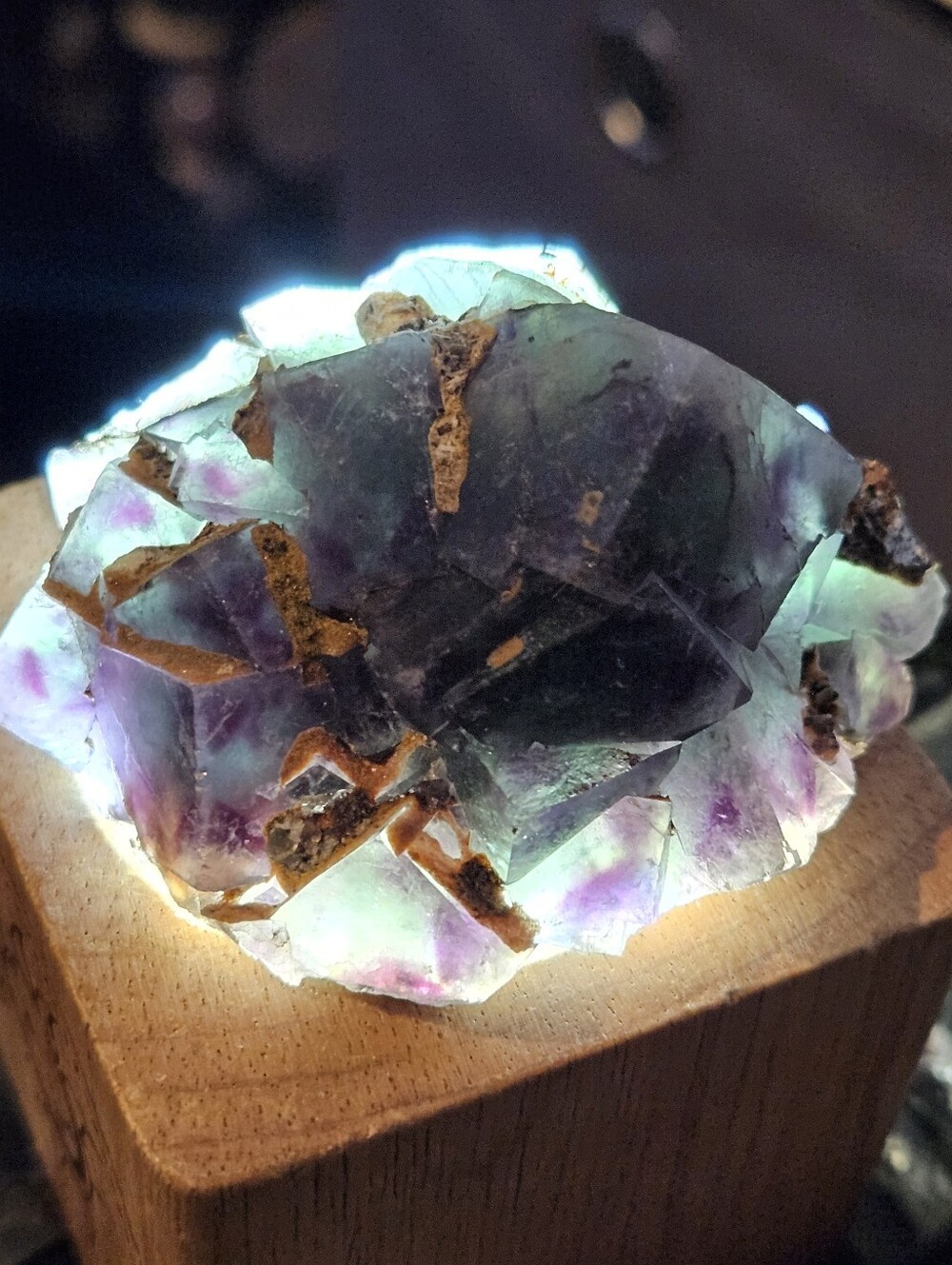 Okorusu Fluorite Specimen